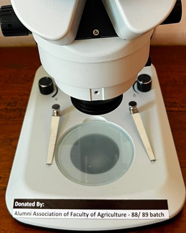 Stereo Microscope 2